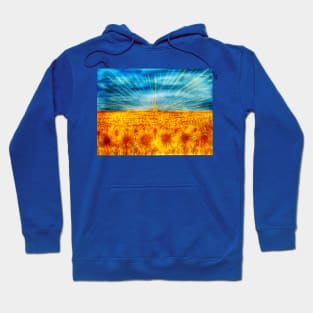 In the Ukraine sunflower field at sunrise Hoodie